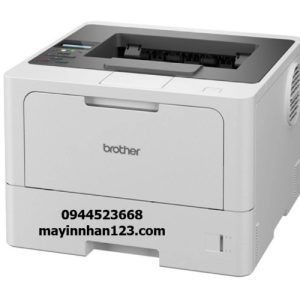 Máy in laser đen trắng Brother HL-L5210DN